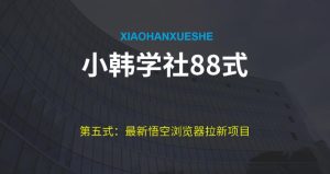小胡学社88式第五式:全新游戏玩法儿悟空浏览器引流新项目-创业资源网