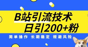 B站引流技术:每日引流方法200精准粉,易操作,持续稳定,防范风险-创业资源网