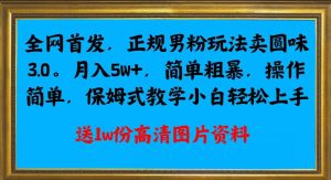 全网首发正规男粉玩法卖圆味3.0，月入5W+，简单粗暴，操作简单，保姆式教学，小白轻松上手-创业资源网