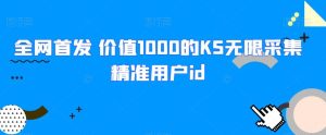 独家首发 使用价值1000的KS无尽收集精准客户id-创业资源网