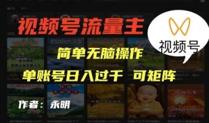 微信视频号微信流量主新项目,外边收费标准2980,简易没脑子制作品,单账户日入了干-创业资源网