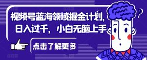 微信视频号蓝海领域掘金队方案,日入了千,新手没脑子入门【揭密】-创业资源网