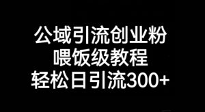 公域流量引流方法自主创业粉,喂食级实例教程,轻轻松松日引流方法300 【揭密】-创业资源网