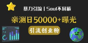 亲自测试日引500 自主创业粉丨有手就行的整个行业暴力行为引流方法自主创业粉-创业资源网