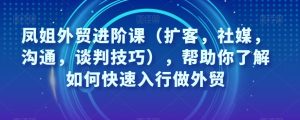 王熙凤出口外贸升阶课,帮助自己了解如何迅速入门做跨境电商-创业资源网