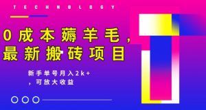 0成本费撸羊毛,全新搬砖项目,初学者运单号月入2k ,可变大实际操作-创业资源网