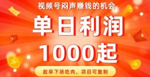 微信视频号闷声发大财发财的机会,尽早结局吃荤,新项目复制推广,单日盈利1000起【揭密】-创业资源网