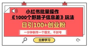 小红书的批量处理《1000个野路子信息差》游戏玩法,一分钟制作一个图文并茂,防封号,日引100 自主创业粉-创业资源网