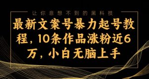 最新文案号暴力起号教程,10条作品涨粉近6万,小白无脑上手-创业资源网