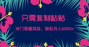 只需复制粘贴,冷门答题项目,轻松月入6000-创业资源网