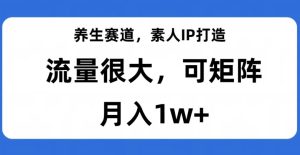 健康养生跑道,普通IP打造出,总流量非常大,可引流矩阵,月入1w 【揭密】-创业资源网