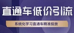 淘宝直通车低价引流课,系统性学习淘宝直通车精准推送-创业资源网