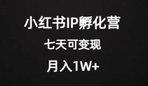 使用价值2000 的小红书IP卵化营新项目,超大瀚海,七天即可进行转现,平稳月入1W-创业资源网
