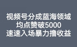 微信视频号分为蓝海领域,均关注点赞破5000,快速进场暴力行为撸盈利-创业资源网