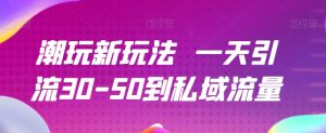 潮品新模式一天引流方法30-50到私域流量池-创业资源网