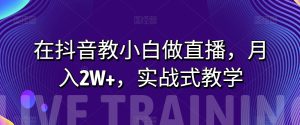 在抖音上教小白忙活直播间,月入2W ,实战演练教学模式【揭密】-暖阳网-优质付费教程和创业项目大全-创业资源网