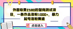 外边收费标准2580的智力测验新项目,一条著作增粉1000 ,暴力行为养号增粉跑道【揭密】-暖阳网-优质付费教程和创业项目大全-创业资源网