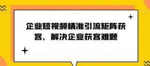 企业短视频精准引流方法引流矩阵拓客，处理营销获客难点-暖阳网-优质付费教程和创业项目大全-创业资源网