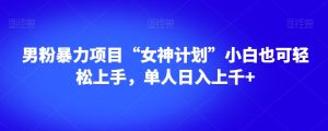 粉丝暴力行为新项目“极品女神方案”新手也可以快速上手,1人日入过千 【揭密】-暖阳网-优质付费教程和创业项目大全-创业资源网
