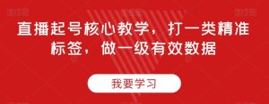 直播间养号关键课堂教学,打一类精确标识,做一级有效数据-暖阳网-优质付费教程和创业项目大全-创业资源网