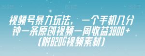 微信视频号暴力行为游戏玩法，一个手机数分钟一条原创短视频一周盈利3800 -暖阳网-优质付费教程和创业项目大全-创业资源网