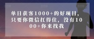 单日获客1000+的好项目,只要你微信扛得住,没有1000+你来找我【揭秘】-暖阳网-优质付费教程和创业项目大全-创业资源网