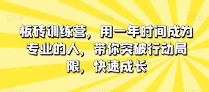 砖头夏令营，用一年时间变成专业人，陪你突破行动局限性，快速增长-暖阳网-优质付费教程和创业项目大全-创业资源网