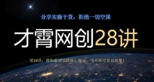 才霄网创28讲第19讲：搜狗搜索刷屏引流方法关键窍门，当日就可以看到实际效果！-暖阳网-优质付费教程和创业项目大全-创业资源网