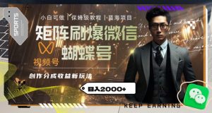 矩阵刷爆微信蝴蝶号创作者分成计划收益的新玩法,日入2000+【揭秘】-暖阳网-优质付费教程和创业项目大全-创业资源网