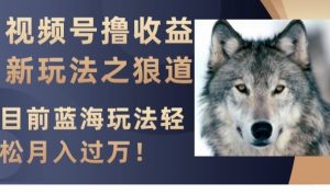 视频号撸收益新玩法之狼道,目前蓝海玩法,轻松月入过万【揭秘】-暖阳网-优质付费教程和创业项目大全-创业资源网