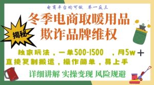 利用电商平台冬季销售取暖用品欺诈行为合理制裁店铺，单日入900+【仅揭秘】-暖阳网-优质付费教程和创业项目大全-创业资源网