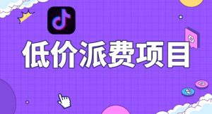 抖音低价派单项目，0门槛，日入1000+很轻松，小白可操作【揭秘】-暖阳网-优质付费教程和创业项目大全-创业资源网