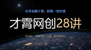 才霄网创28讲第23讲:直播房间勾子引流方法,暴加精准粉!-暖阳网-优质付费教程和创业项目大全-创业资源网
