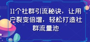 11个社群引流窍门,让裂变拉新增长,让你拥有社群营销流量入口-暖阳网-优质付费教程和创业项目大全-创业资源网