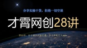 才霄网创28讲第22讲:名字测评没脑子直播间,1人单机版日入300-暖阳网-优质付费教程和创业项目大全-创业资源网