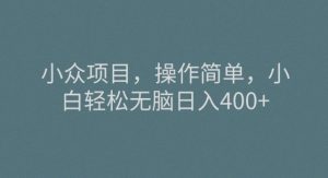 冷门新项目,使用方便,新手轻轻松松没脑子日入400-暖阳网-优质付费教程和创业项目大全-创业资源网