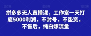 拼多多平台无人直播课，个人工作室一天内搭5000盈利，防封号，不垫付资金，不售后服务，纯白色嫖总流量-暖阳网-优质付费教程和创业项目大全-创业资源网