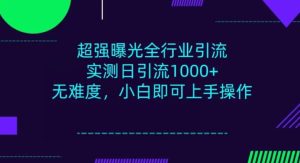 整个行业引流方法,新手即可操作,每日入群1000+-暖阳网-优质付费教程和创业项目大全-创业资源网