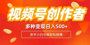 微信视频号创作者计划,多种多样变现模式,日入500 【内附1080g视频模板】-暖阳网-优质付费教程和创业项目大全-创业资源网