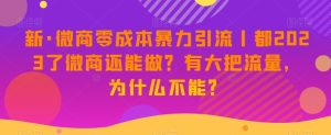 新·微商代理零成本暴力行为引流方法丨都2023了微商代理还可以做?有很大把流量,为什么不可以?-暖阳网-优质付费教程和创业项目大全-创业资源网