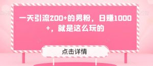 一天引流200+的男粉,日赚1000+,就是这么玩的-暖阳网-优质付费教程和创业项目大全-创业资源网