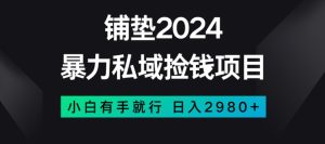 暴力私域捡钱项目，小白无脑操作，日入2980【揭秘】-暖阳网-优质付费教程和创业项目大全-创业资源网