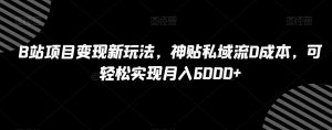 B站项目变现新玩法,神贴私域流0成本,可轻松实现月入6000+【揭秘】-创业资源网