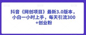 抖音《网创项目》最新3.0版本,小白一小时上手,每天引流300+创业粉【揭秘】-创业资源网