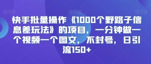 快手批量操作《1000个野路子信息差玩法》的项目,一分钟做一个视频一个图文,不封号,日引流150+【揭秘】-创业资源网