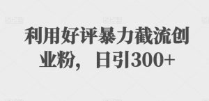 利用好评暴力截流创业粉,日引300+-创业资源网
