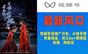 视频号最新风口,热播影视推广计划,小白可做,批量搬运,月入5w+保姆级教程,附授权-创业资源网