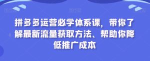 拼多多运营必学体系课，带你了解最新流量获取方法、帮助你降低推广成本-创业资源网