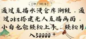 【冷门玩法】通过直播水浸仓库潮鞋,通过obs搭建无人直播画面,小白也能轻松上手,轻松月入30000+-创业资源网