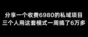 分享一个外面卖6980的私域项目三个人用这套模式一周搞了6万多【揭秘】-创业资源网